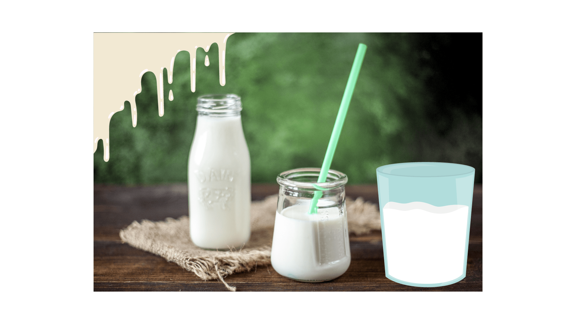 Best knowledge about Fairlife Milk in 2024