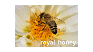 royal honey